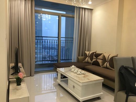 apartment for rent in Binh Thanh district BT105L3219 (8)